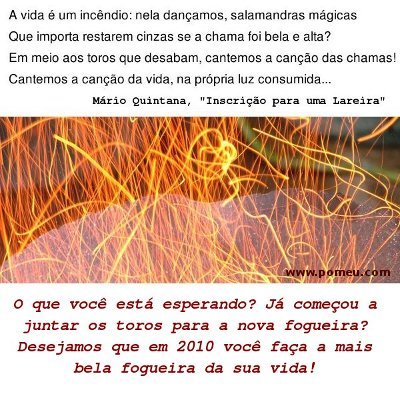 Imagem: A vida é um incêndio: nela dançamos, salamandras mágicas. Que importa restarem cinzas se a chama foi bela e alta? Em meio aos toros que desabam, cantemos a canção das chamas! Cantemos a canção da vida, na própria luz consumida... Mário Quintana