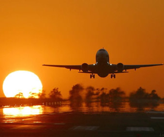 A garça está decolando