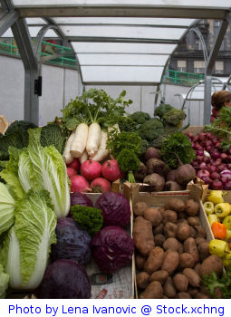 Cozido á Portuguesa