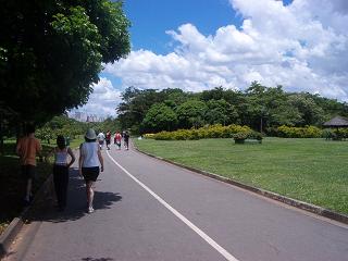 Parque Vila Lobos